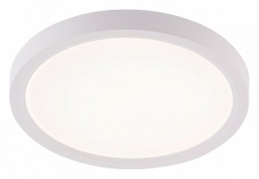Накладной светильник Natali Kovaltseva PLAIN LED LAMPS 81113/1C в Златоусте - zlatoust.ok-mebel.com | фото
