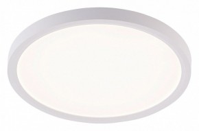 Накладной светильник Natali Kovaltseva PLAIN LED LAMPS 81113/2C в Златоусте - zlatoust.ok-mebel.com | фото