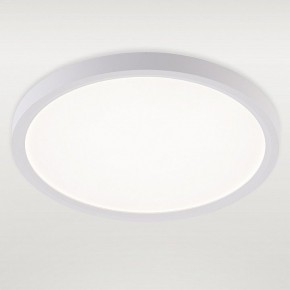 Накладной светильник Natali Kovaltseva PLAIN LED LAMPS 81113/2C в Златоусте - zlatoust.ok-mebel.com | фото 2