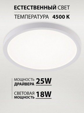 Накладной светильник Natali Kovaltseva PLAIN LED LAMPS 81113/2C в Златоусте - zlatoust.ok-mebel.com | фото 3
