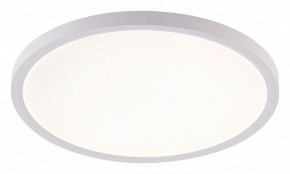 Накладной светильник Natali Kovaltseva PLAIN LED LAMPS 81113/3C в Златоусте - zlatoust.ok-mebel.com | фото