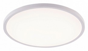 Накладной светильник Natali Kovaltseva PLAIN LED LAMPS 81113/4C в Златоусте - zlatoust.ok-mebel.com | фото