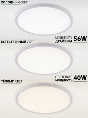 Накладной светильник Natali Kovaltseva PLAIN LED LAMPS 81113/5C в Златоусте - zlatoust.ok-mebel.com | фото 3