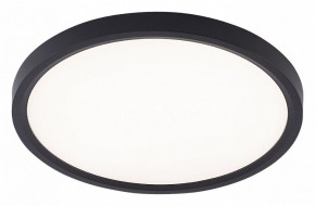 Накладной светильник Natali Kovaltseva PLAIN LED LAMPS 81114/2C в Златоусте - zlatoust.ok-mebel.com | фото