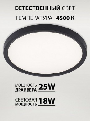 Накладной светильник Natali Kovaltseva PLAIN LED LAMPS 81114/2C в Златоусте - zlatoust.ok-mebel.com | фото 3