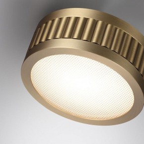 Накладной светильник Odeon Light Manchester 7013/7CL в Златоусте - zlatoust.ok-mebel.com | фото 5