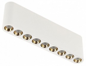 Накладной светильник Odeon Light Small 7091/21CL в Златоусте - zlatoust.ok-mebel.com | фото