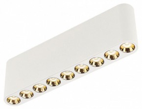 Накладной светильник Odeon Light Small 7091/21CL в Златоусте - zlatoust.ok-mebel.com | фото 3