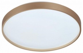 Накладной светильник Sonex Gaby 7783/DL в Златоусте - zlatoust.ok-mebel.com | фото 4