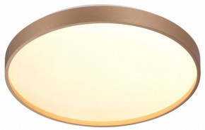 Накладной светильник Sonex Gaby 7783/DL в Златоусте - zlatoust.ok-mebel.com | фото 5