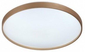 Накладной светильник Sonex Gaby 7783/EL в Златоусте - zlatoust.ok-mebel.com | фото 4