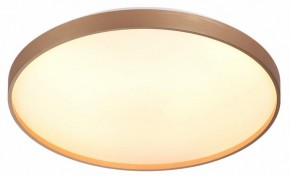 Накладной светильник Sonex Gaby 7783/EL в Златоусте - zlatoust.ok-mebel.com | фото 5