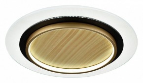 Накладной светильник Sonex Sunny 7731/80L в Златоусте - zlatoust.ok-mebel.com | фото