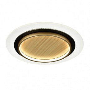 Накладной светильник Sonex Sunny 7731/80L в Златоусте - zlatoust.ok-mebel.com | фото 4