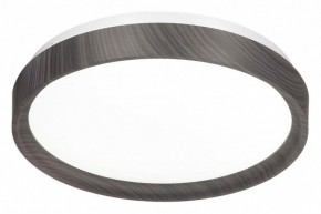Накладной светильник Sonex Woodi 7627/CL в Златоусте - zlatoust.ok-mebel.com | фото 4