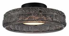 Накладной светильник ST-Luce ANTIKE SL6143.412.01 в Златоусте - zlatoust.ok-mebel.com | фото 2
