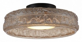 Накладной светильник ST-Luce ANTIKE SL6143.422.01 в Златоусте - zlatoust.ok-mebel.com | фото 3