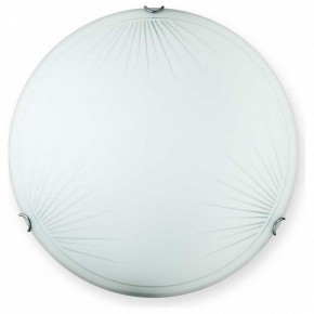 Накладной светильник TopLight Wifa TL9142Y-00WH в Златоусте - zlatoust.ok-mebel.com | фото
