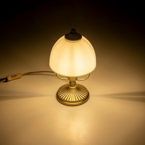Настольная лампа декоративная Citilux Адриана CL405813 в Златоусте - zlatoust.ok-mebel.com | фото 12