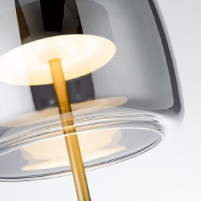 Настольная лампа декоративная Favourite Reflex 4234-1T в Златоусте - zlatoust.ok-mebel.com | фото 5