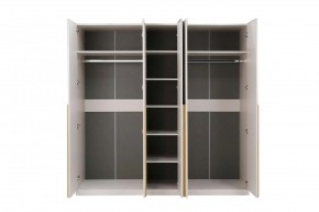 НИКОЛЬ 25 Шкаф 5-ти створчатый в Златоусте - zlatoust.ok-mebel.com | фото 3