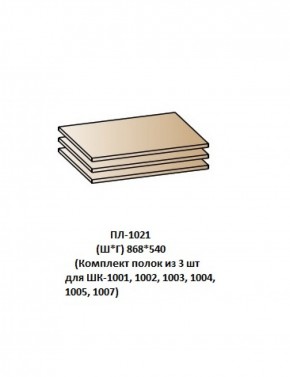 ПЛ-1021 (Комплект полок из 3 шт для ШК-1001, 1002, 1003, 1004, 1005, 1007) в Златоусте - zlatoust.ok-mebel.com | фото