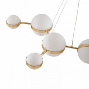 Подвесная люстра Favourite Asterismo 4448-8P в Златоусте - zlatoust.ok-mebel.com | фото 7