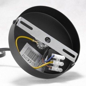 Подвесная люстра Lussole Kenner GRLSP-8271 в Златоусте - zlatoust.ok-mebel.com | фото 7