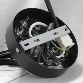 Подвесная люстра Lussole Seneca GRLSP-8177 в Златоусте - zlatoust.ok-mebel.com | фото 10