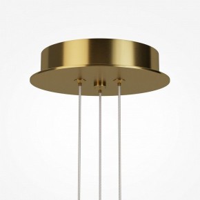 Подвесная люстра Maytoni Arana MOD401PL-L108BS3K в Златоусте - zlatoust.ok-mebel.com | фото 7