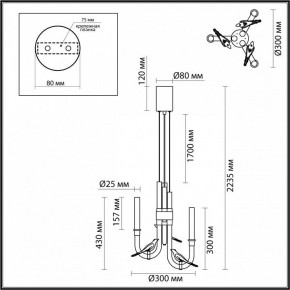 Подвесная люстра Odeon Light Lark 5431/6L в Златоусте - zlatoust.ok-mebel.com | фото 5