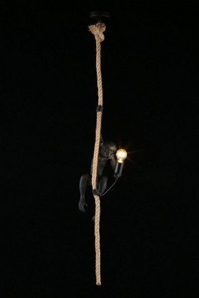Подвесной светильник Aployt Magali APL.309.16.01 в Златоусте - zlatoust.ok-mebel.com | фото 3