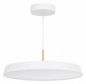 Подвесной светильник Arlight ELEGANT 033925(1) в Златоусте - zlatoust.ok-mebel.com | фото 2