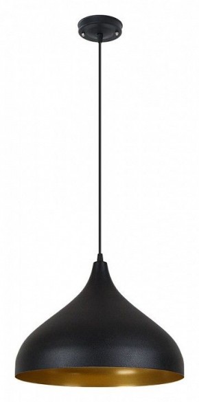 Подвесной светильник Arte Lamp Carmel A7076SP-1BK в Златоусте - zlatoust.ok-mebel.com | фото 2