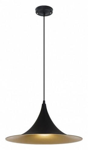 Подвесной светильник Arte Lamp Carmel A7080SP-1BK в Златоусте - zlatoust.ok-mebel.com | фото 2