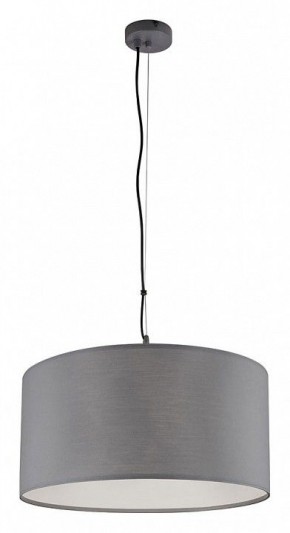Подвесной светильник Arte Lamp Coppa A4095SP-3GY в Златоусте - zlatoust.ok-mebel.com | фото 2