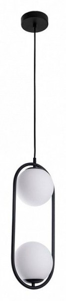 Подвесной светильник Arte Lamp Matisse A7745SP-2BK в Златоусте - zlatoust.ok-mebel.com | фото 2