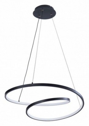 Подвесной светильник Arte Lamp Millo A3893SP-30BK в Златоусте - zlatoust.ok-mebel.com | фото 2