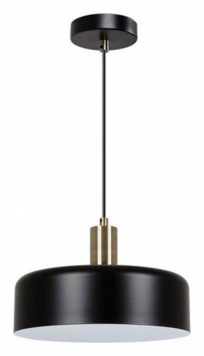 Подвесной светильник Arte Lamp Skat A7052SP-1BK в Златоусте - zlatoust.ok-mebel.com | фото