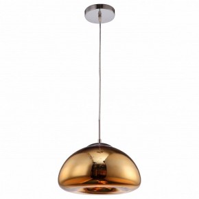 Подвесной светильник Arte Lamp Swift A8041SP-1GO в Златоусте - zlatoust.ok-mebel.com | фото 2
