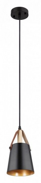 Подвесной светильник Arte Lamp Thomas A7032SP-1BK в Златоусте - zlatoust.ok-mebel.com | фото 2