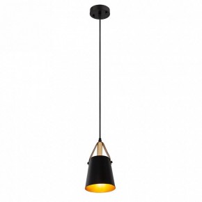 Подвесной светильник Arte Lamp Thomas A7032SP-1BK в Златоусте - zlatoust.ok-mebel.com | фото 3