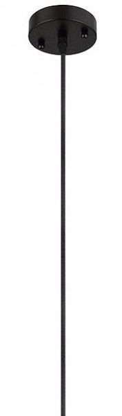 Подвесной светильник Arte Lamp Thomas A7032SP-1BK в Златоусте - zlatoust.ok-mebel.com | фото 4