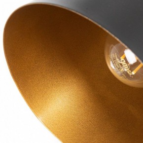 Подвесной светильник Arte Lamp Thomas A7032SP-1BK в Златоусте - zlatoust.ok-mebel.com | фото 5