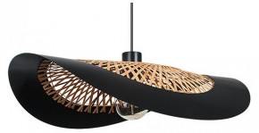 Подвесной светильник Arte Lamp Woodstock A7059SP-1BK в Златоусте - zlatoust.ok-mebel.com | фото
