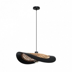 Подвесной светильник Arte Lamp Woodstock A7059SP-1BK в Златоусте - zlatoust.ok-mebel.com | фото 2