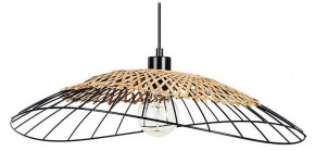 Подвесной светильник Arte Lamp Woodstock A7061SP-1BK в Златоусте - zlatoust.ok-mebel.com | фото