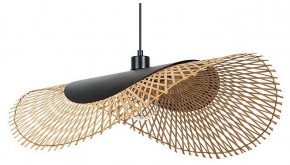 Подвесной светильник Arte Lamp Woodstock A7063SP-1BK в Златоусте - zlatoust.ok-mebel.com | фото