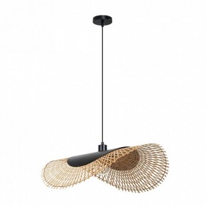 Подвесной светильник Arte Lamp Woodstock A7063SP-1BK в Златоусте - zlatoust.ok-mebel.com | фото 2