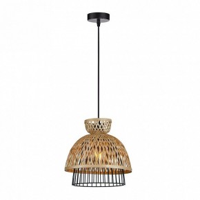 Подвесной светильник Arte Lamp Woodstock A7070SP-1BK в Златоусте - zlatoust.ok-mebel.com | фото